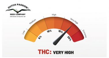 THC-Very-high-clean-image.jpg